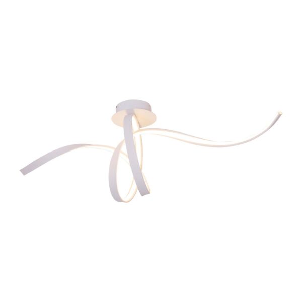 85e8a34d 566d 4b26 a609 1b5c0390c2af 1200x1200 fill.jpg